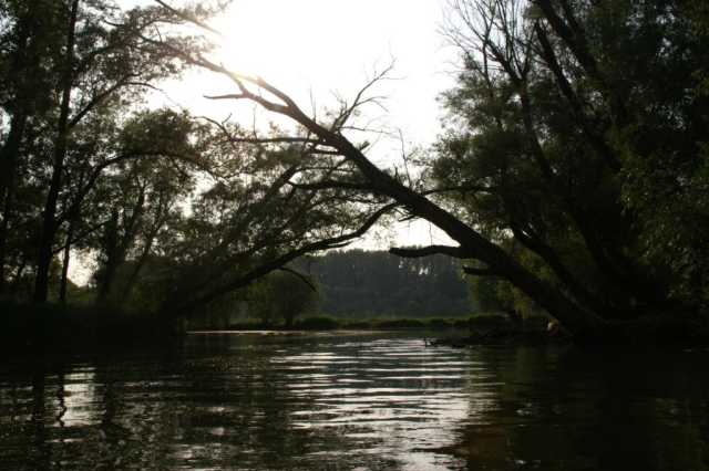 pict2070.jpg