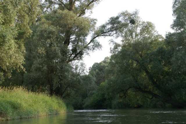 pict2123.jpg