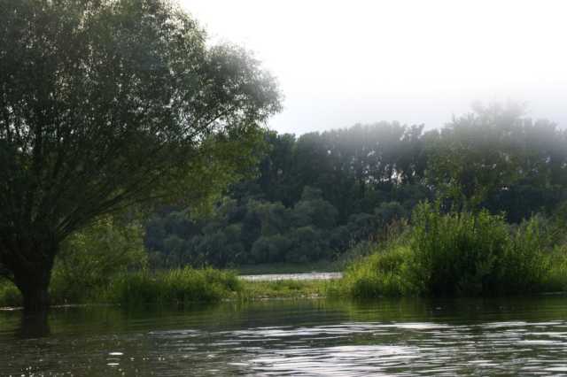 pict2231.jpg