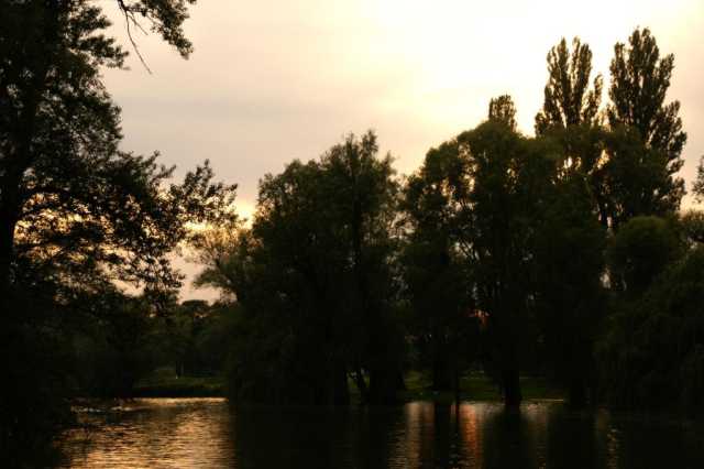 pict2350.jpg