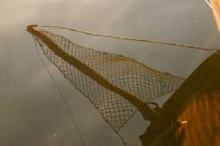 pict5802.jpg