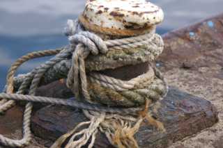 pict6120.jpg