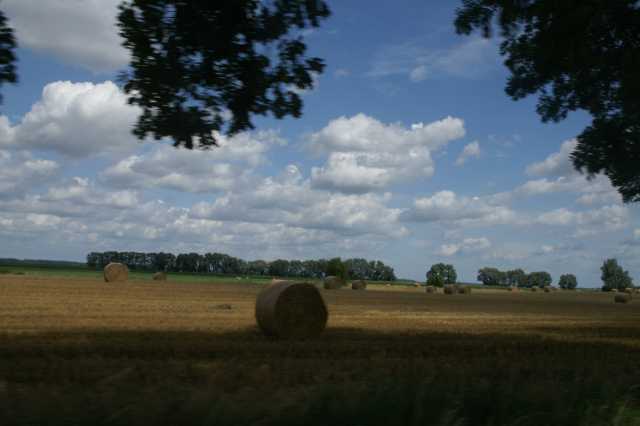 pict5146.jpg