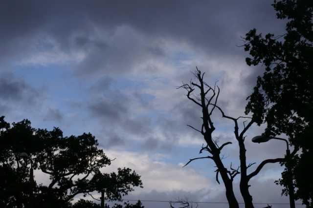 pict5222.jpg
