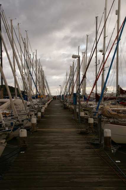 pict5291.jpg