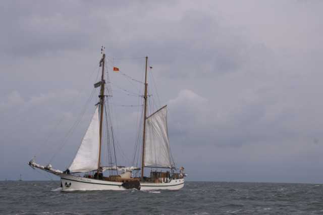 pict5988.jpg