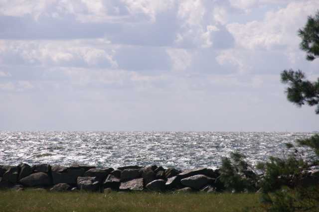 pict6125.jpg