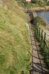 pict9299.jpg