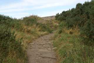 pict9319.jpg