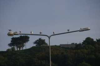 pict9344.jpg