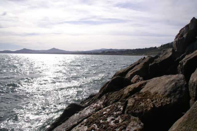 pict9297.jpg