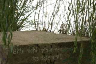 pict0380.jpg