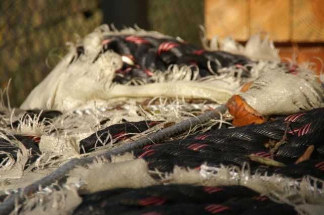 pict0620.jpg