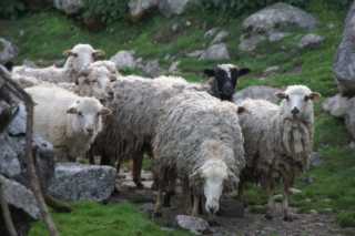 pict2329.jpg