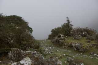 pict2333.jpg