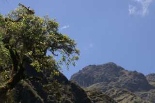 pict2406.jpg