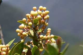 pict2429.jpg