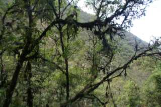 pict2523.jpg