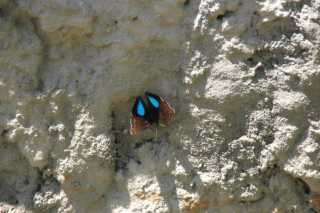 pict2622.jpg