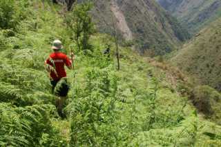 pict2631.jpg