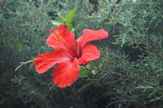 pict2724.jpg