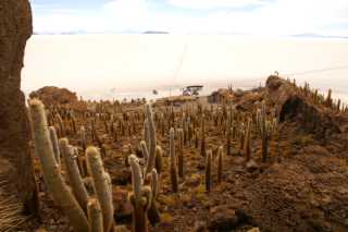 pict4153.jpg