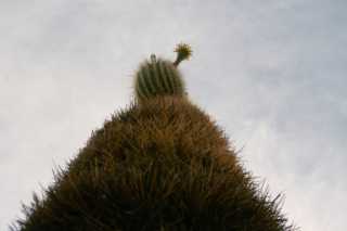 pict4157.jpg