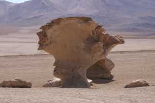 pict4630.jpg