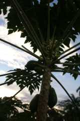 pict5924.jpg