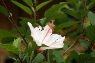 pict5964.jpg