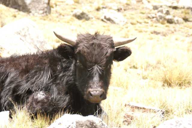 pict2179.jpg