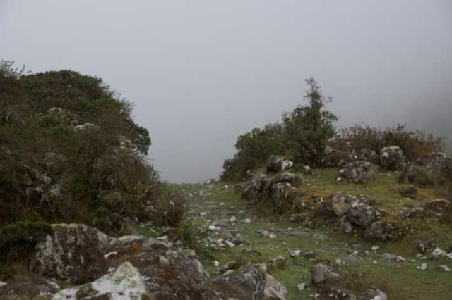 pict2333.jpg
