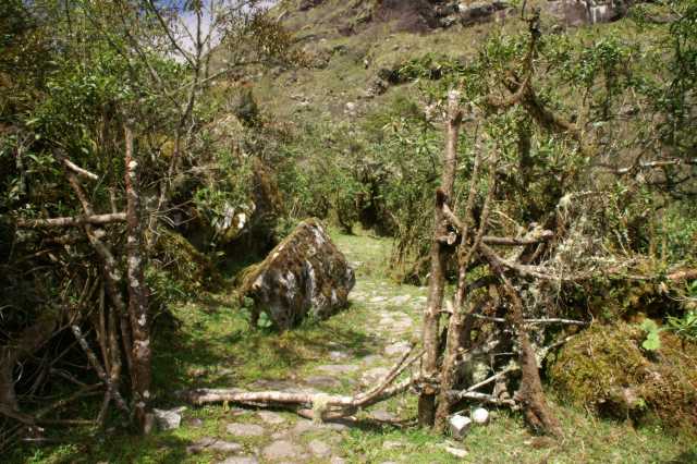 pict2385.jpg