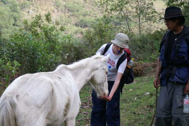 pict2508.jpg