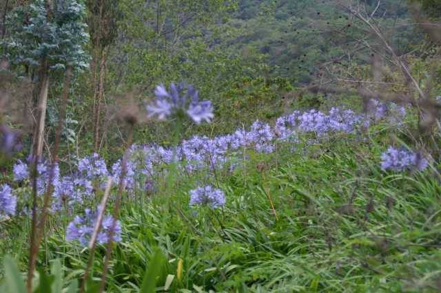 pict2513.jpg