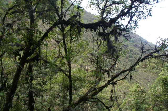 pict2523.jpg