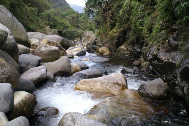pict2540.jpg