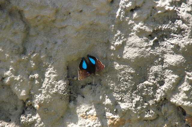 pict2622.jpg