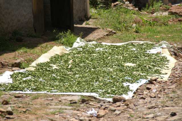 pict2625.jpg