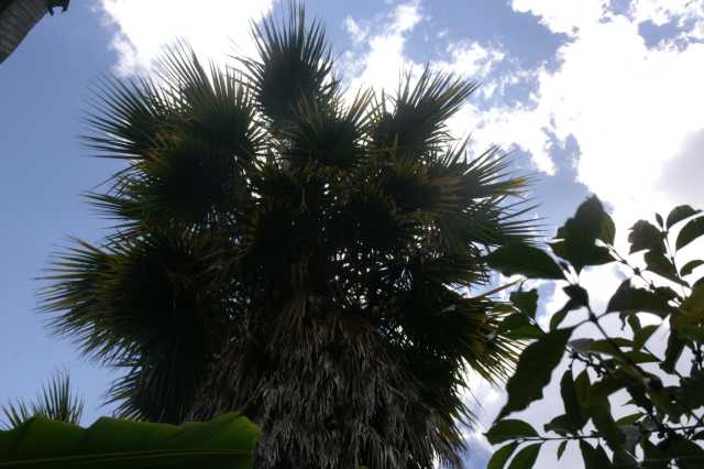 pict2691.jpg