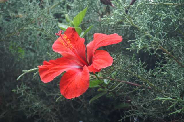 pict2724.jpg