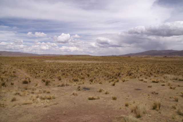 pict3244.jpg