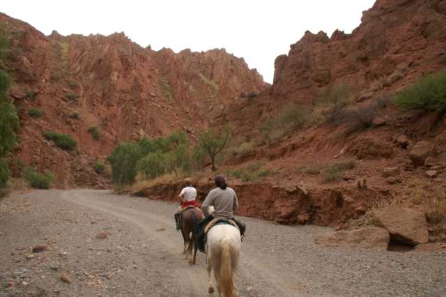 pict3829.jpg