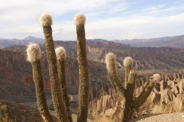 pict3914.jpg