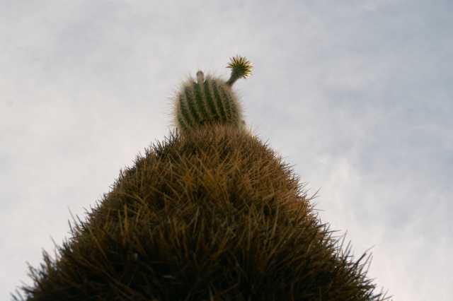 pict4157.jpg