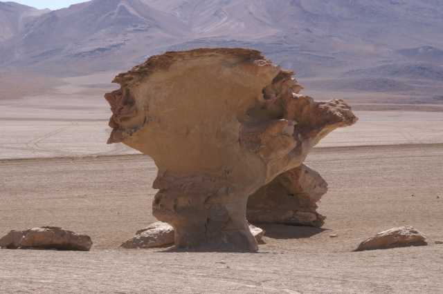 pict4630.jpg