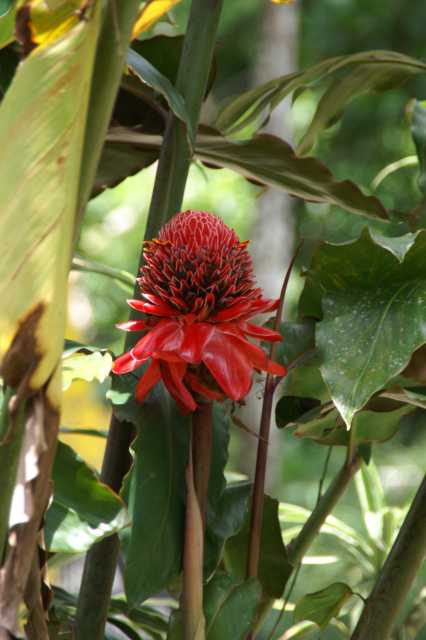 pict5724.jpg