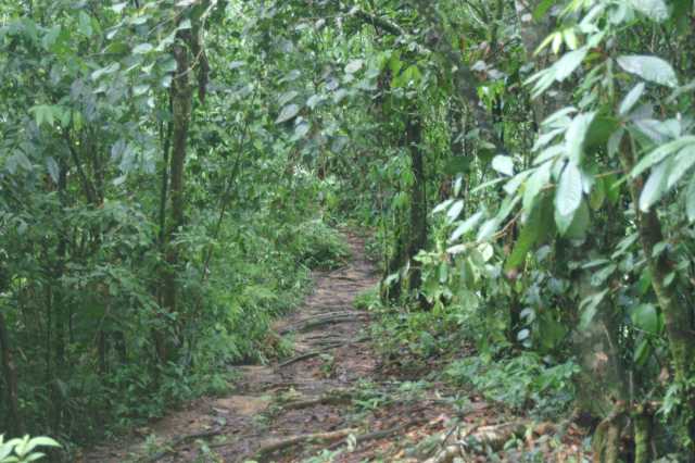 pict5868.jpg