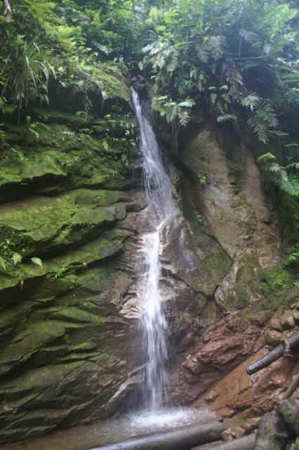 pict5874.jpg