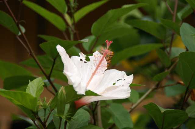 pict5964.jpg